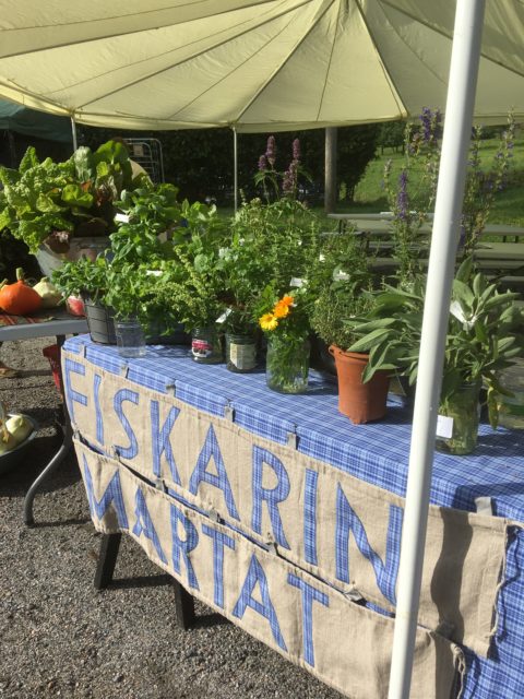 Fiskarin Martat, yrittineuvontaa